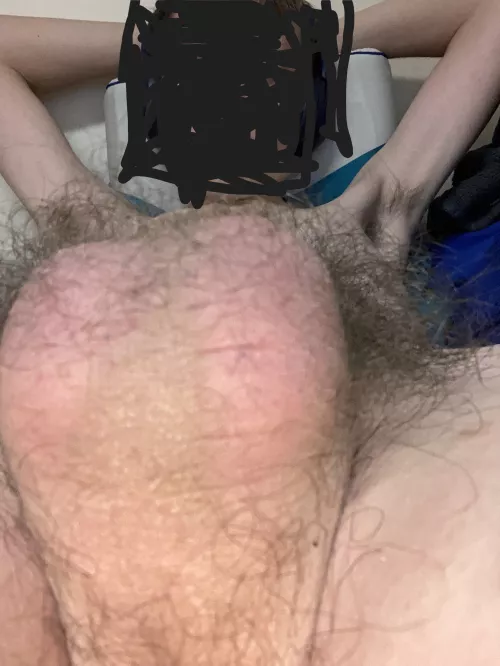 Oops, my massive hairy balls got in the way of the photo! (DMs open!) by ObserveThisMember42