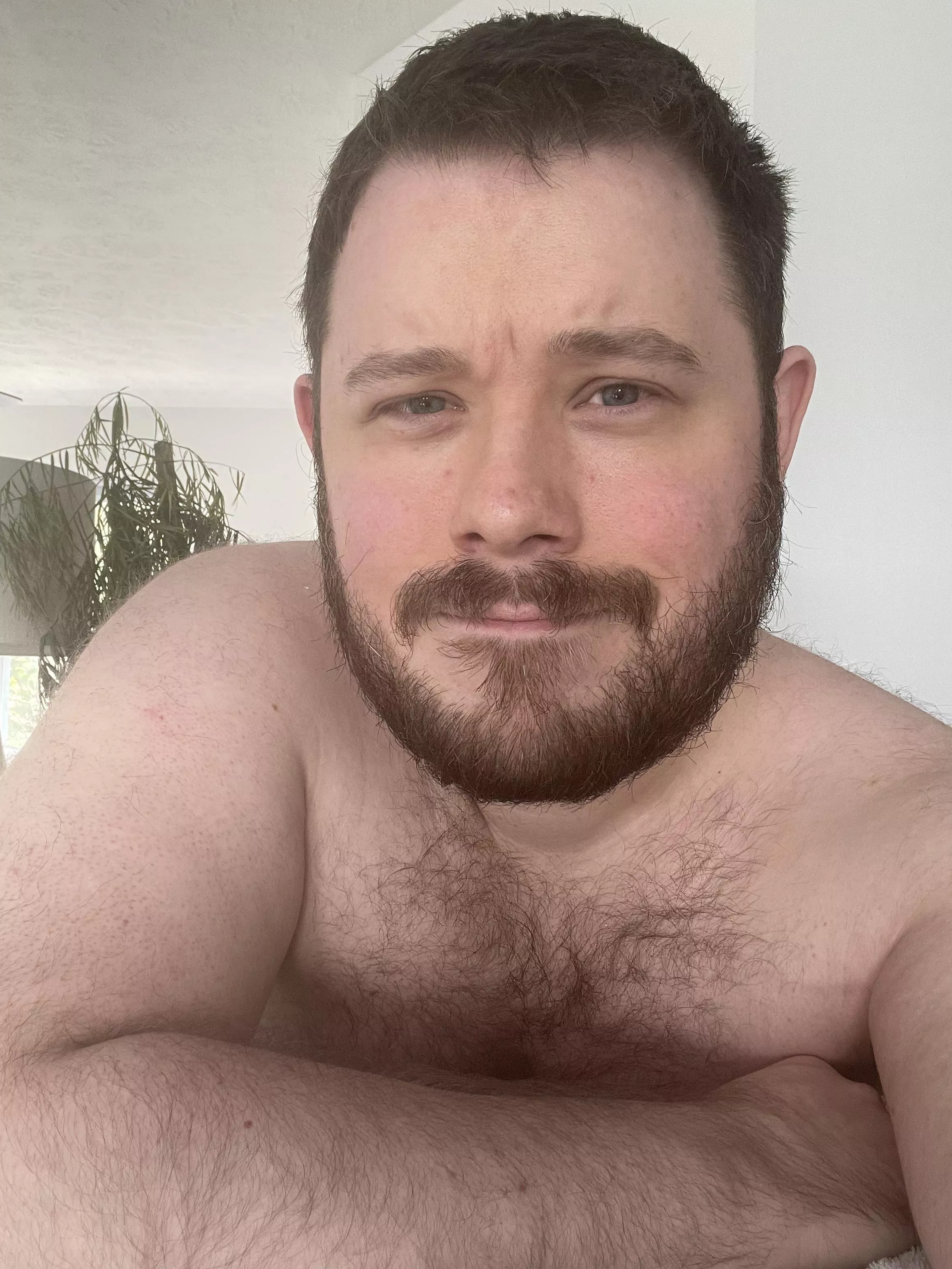 Quite Scruffy posted by varaxen