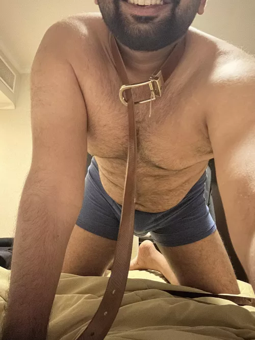 Take me for a walk? by dawnzeb