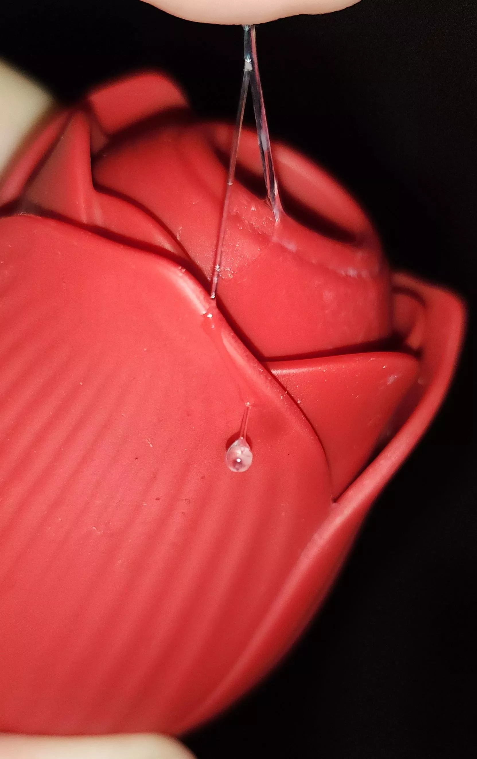 the rose is elite at its job 🥵 posted by d__zy_b_by