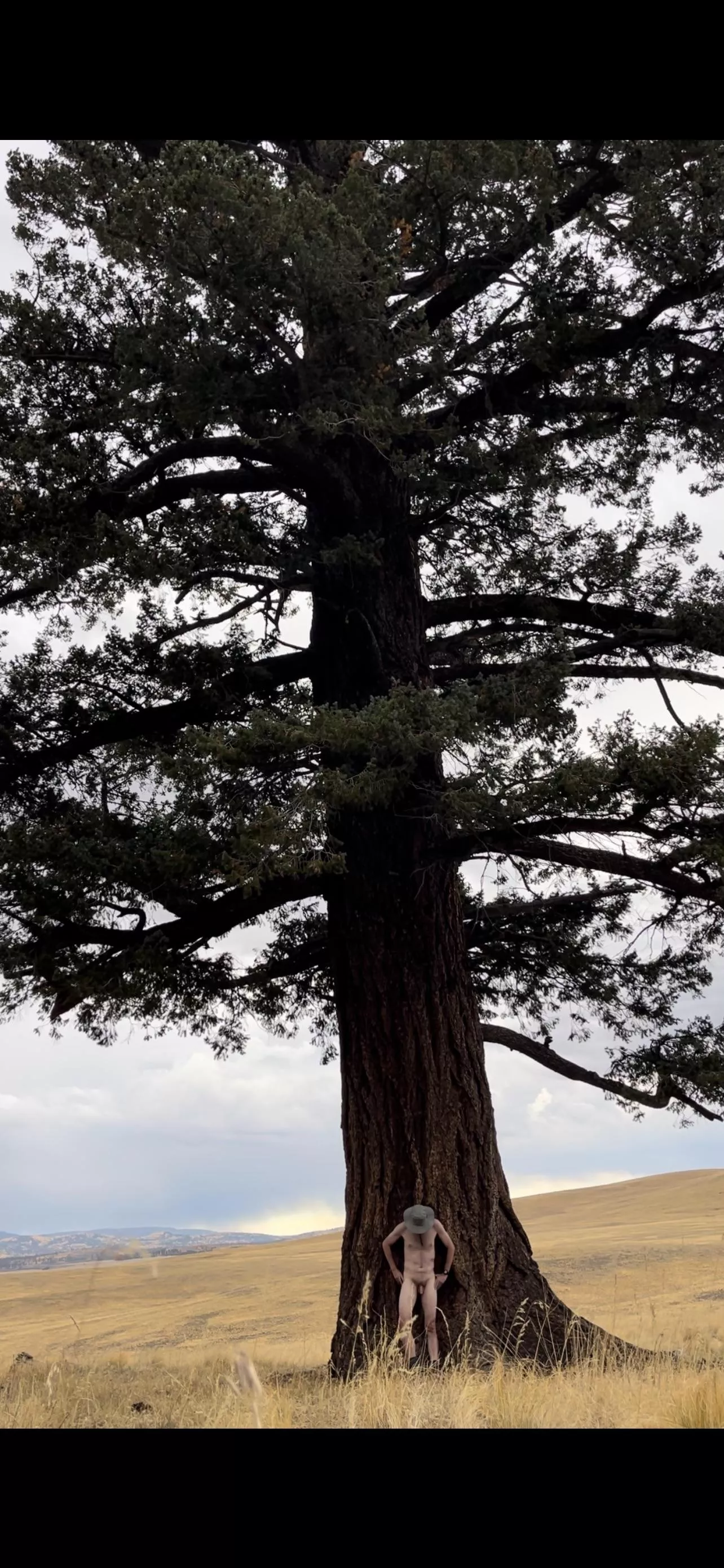 🌲Tree🌲Pose🌲Tuesday 🌲 posted by Boobluvr0069