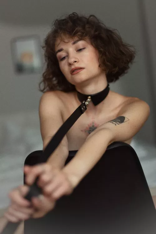 Will the master take me for a walk? [F] by Farevkaoff