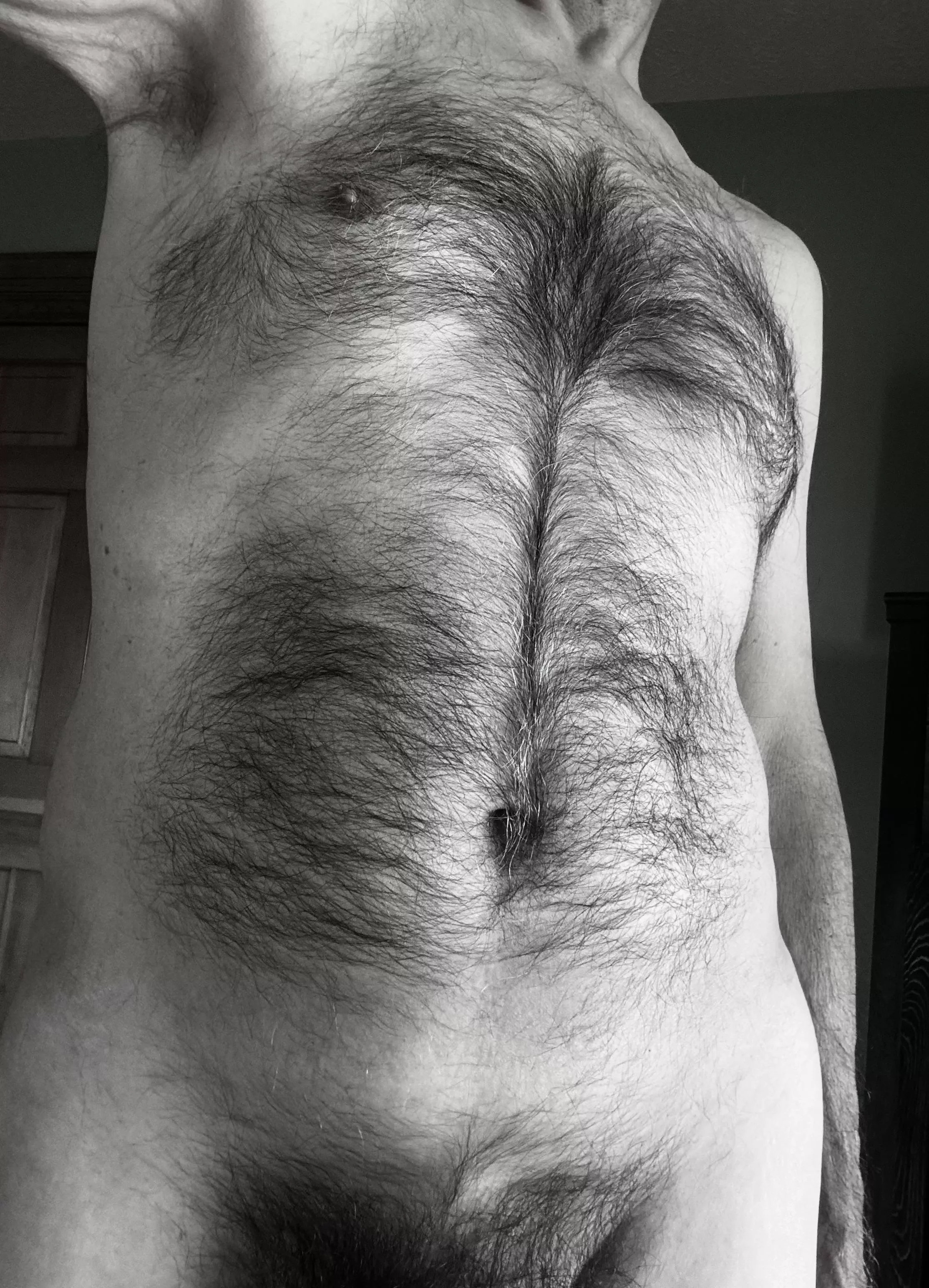 A little bit of fur for your hump day? posted by Thistlemaker2