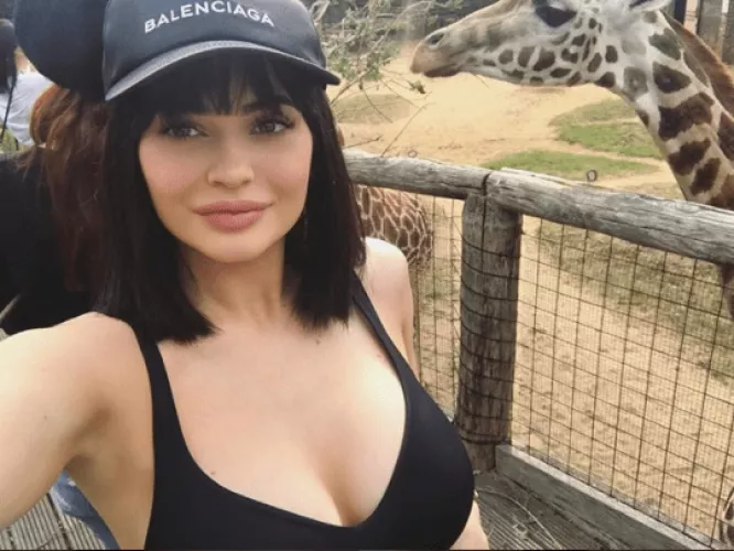 At the London Zoo | IG 2017 by redditfortheboys