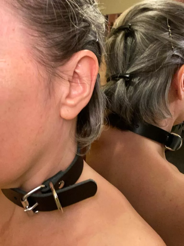 Clipped and adjusting her new Collar for fit. posted by hstarks1