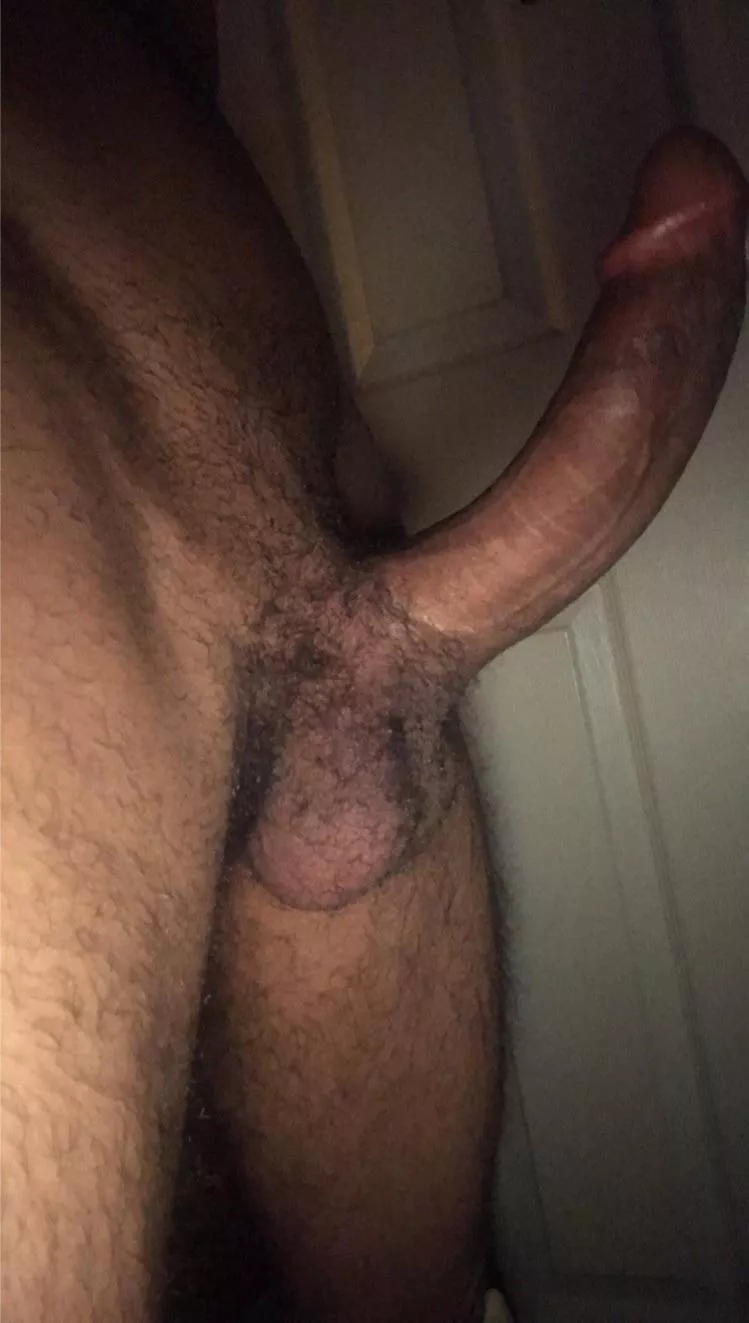 Come sit on it posted by Spirited-Prize-1285