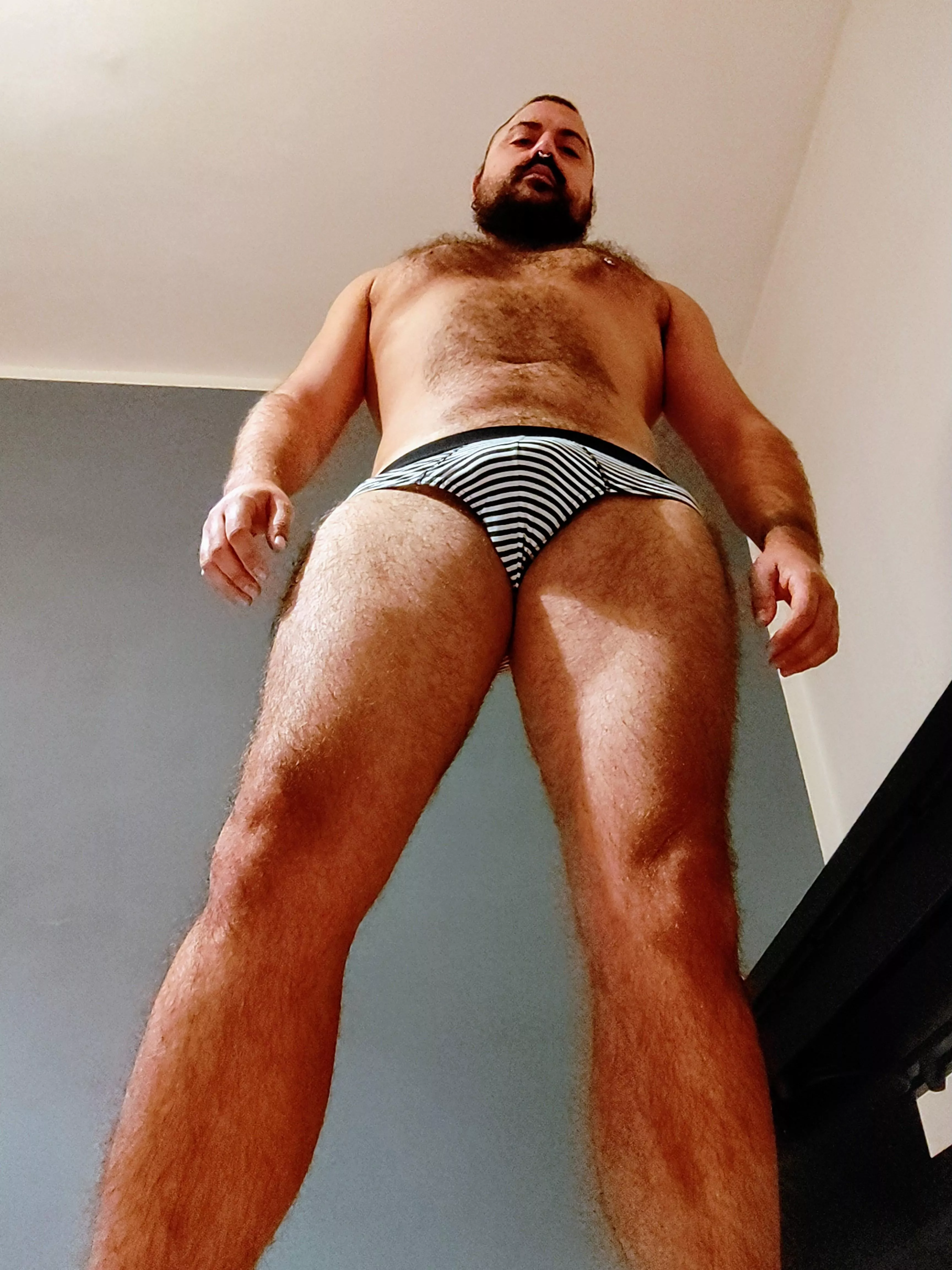 Do stripes make my bulge look fatter? posted by bearlyfreak