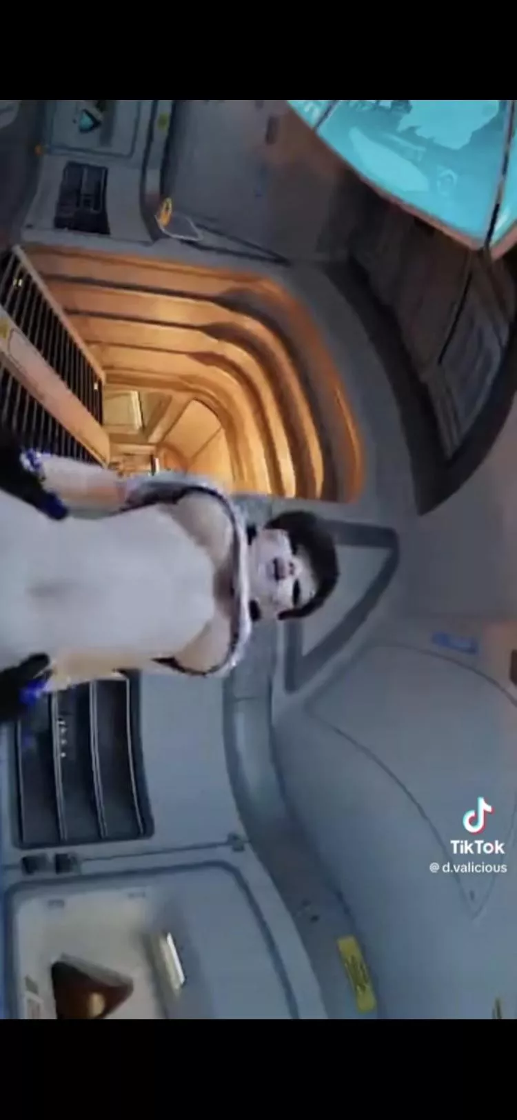 Does anyone have the link for this Dva video? posted by Select-Lecture-2090