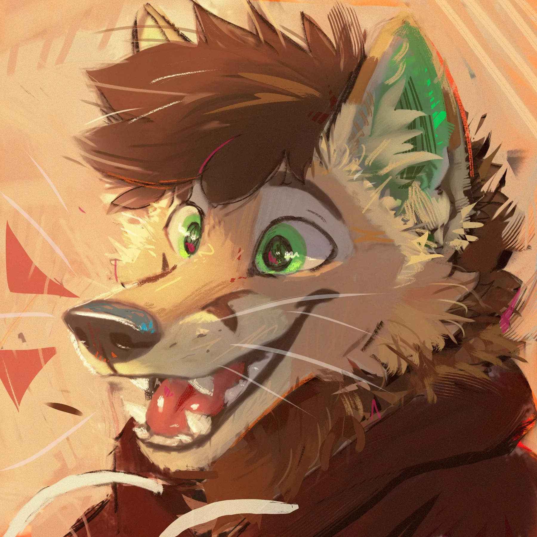 Excited Goober [_latrans] posted by DL2828