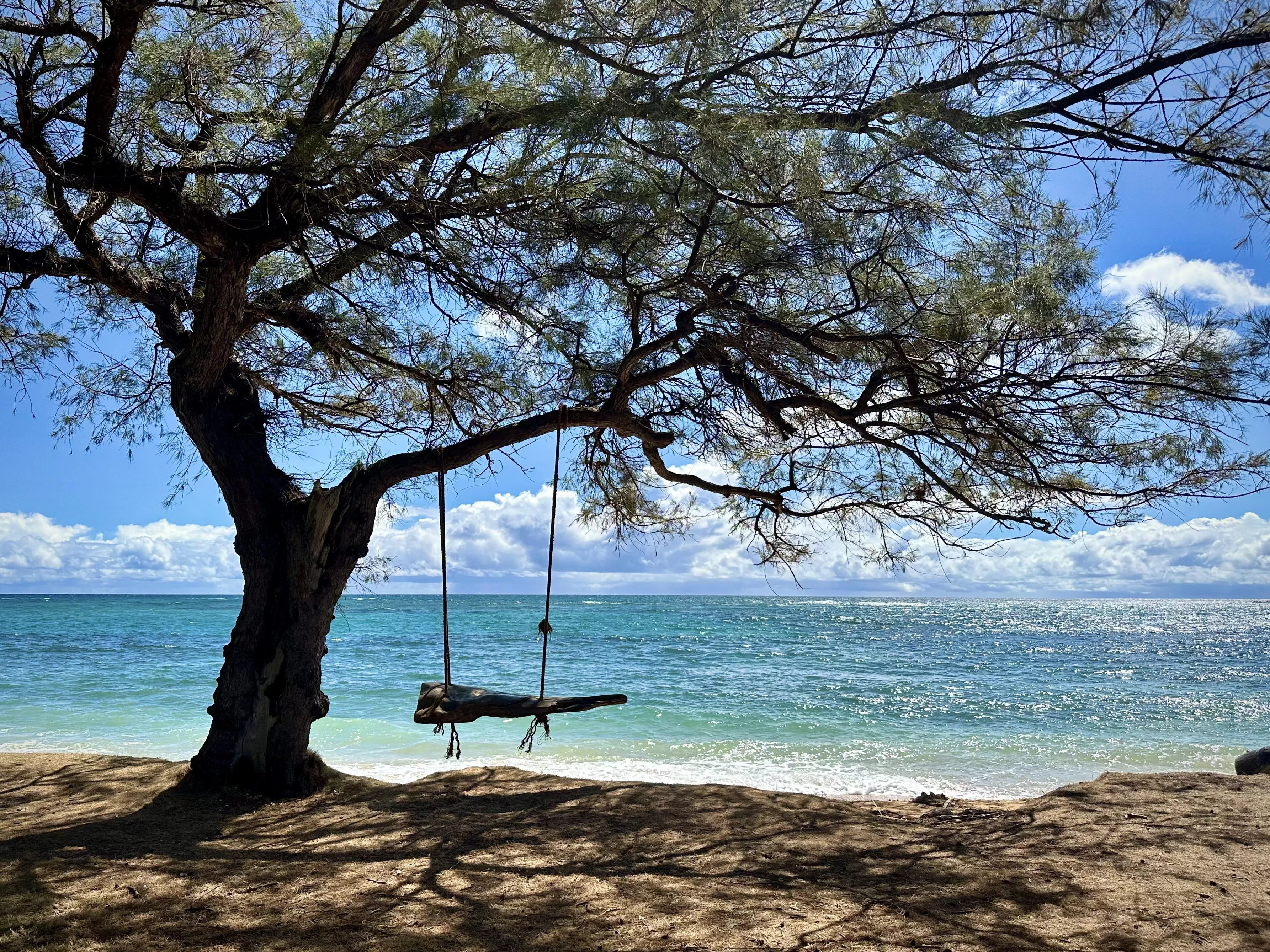 How long would you sit on this swing and soak up your environment? posted by Electronic_Common931