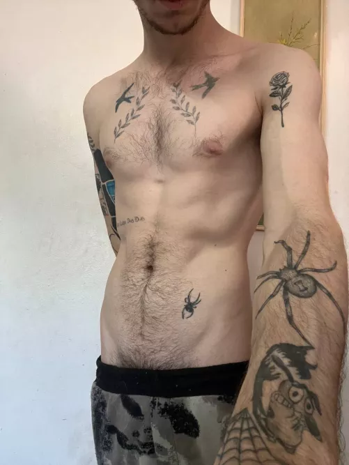 How many spiders do you see? by Acrobatic-Bake2084