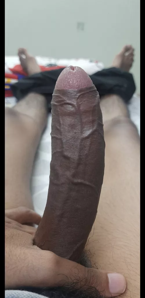 How's this uncut 🍆? by Ill-Resource-6066