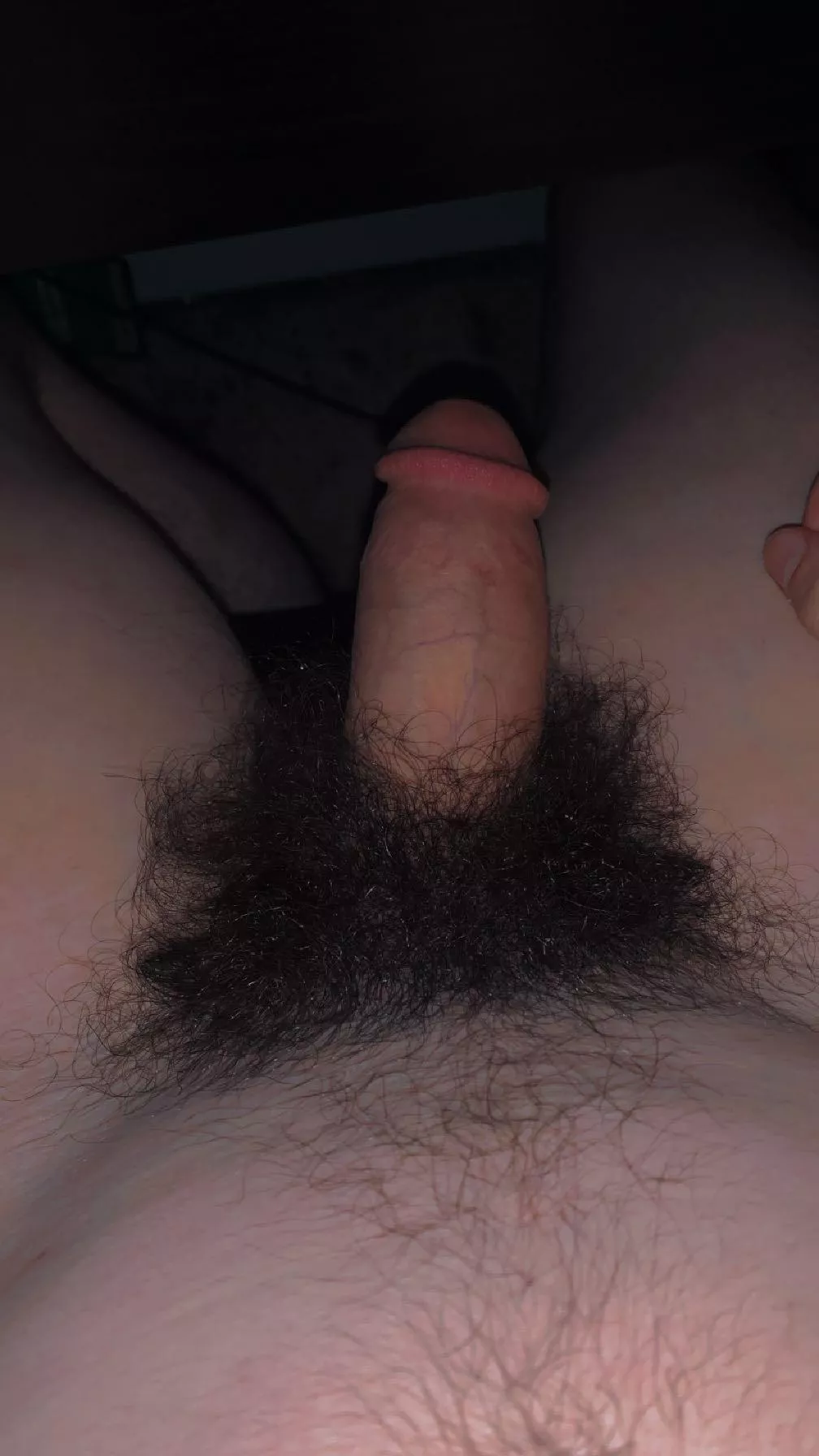 I love having such a thick furry bush 😌 posted by slytherinwizard