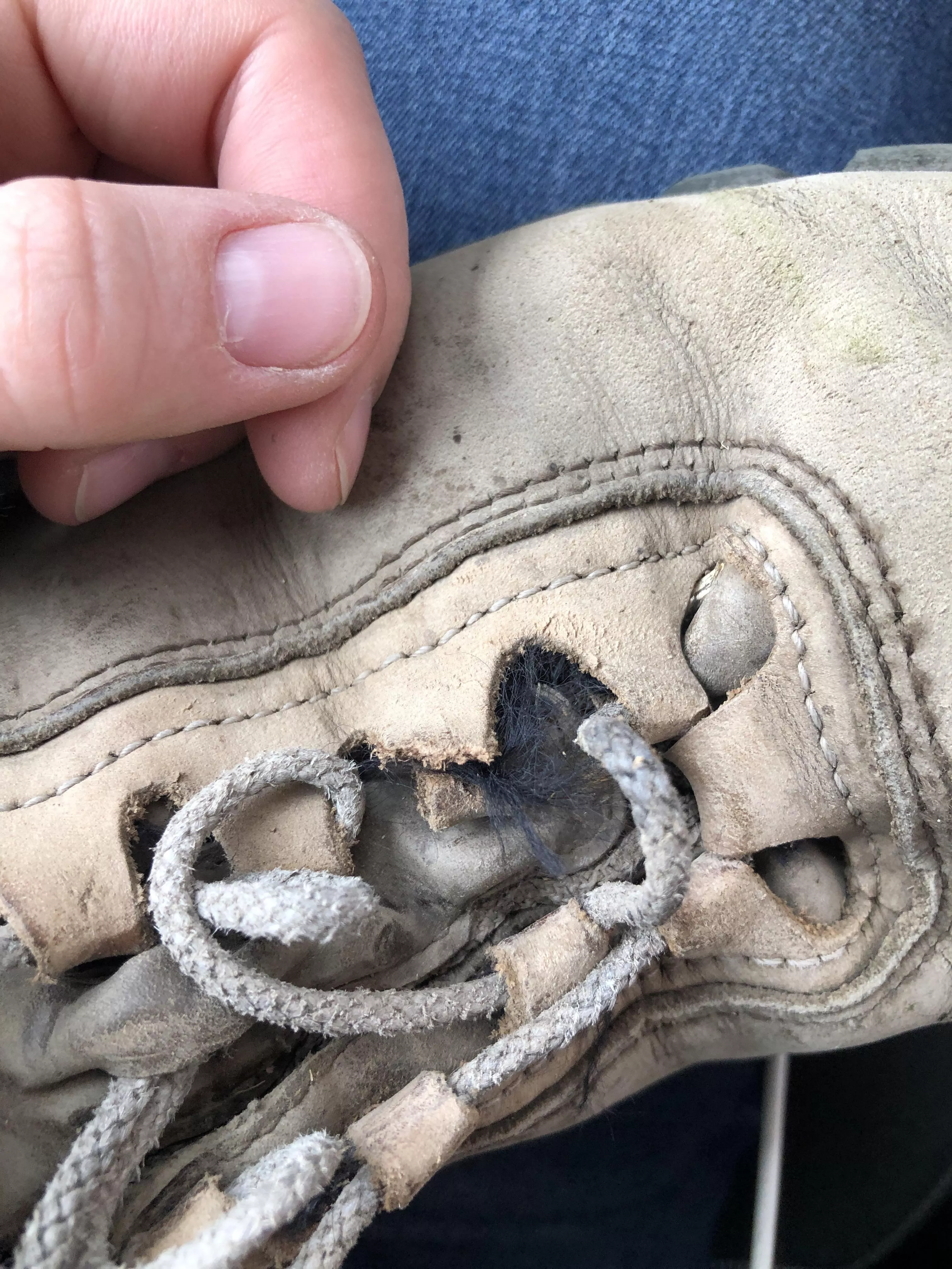Is there anything that can be done about this? I have to walk 5-10 miles a day through rough terrain like corn stubble and rocky cow pastures for work, and I just can’t afford a new pair of boots. These are women’s Vasque solid leather hiking boots f posted by Techi-C