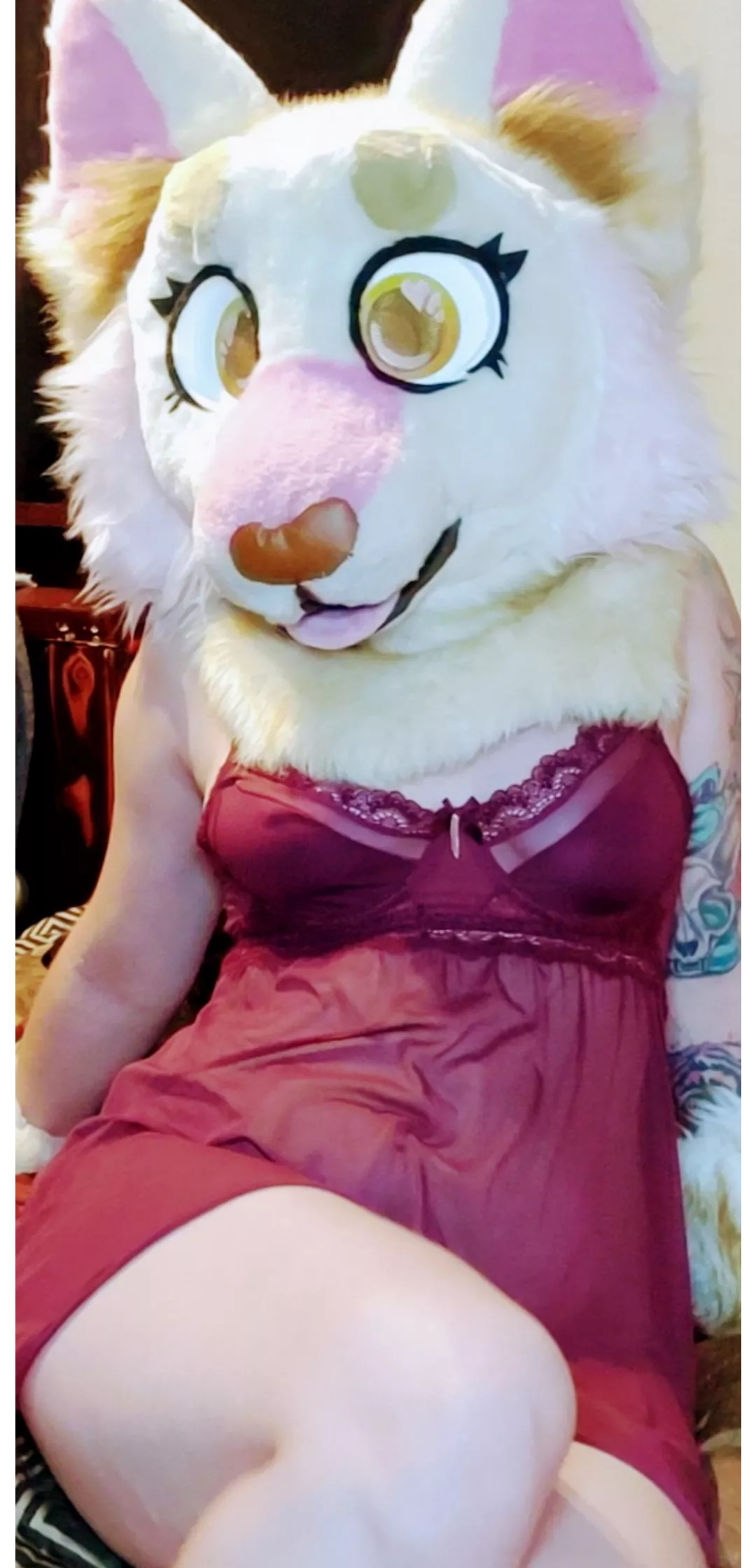 Little lynx in lingerie! posted by TaffytheLynx