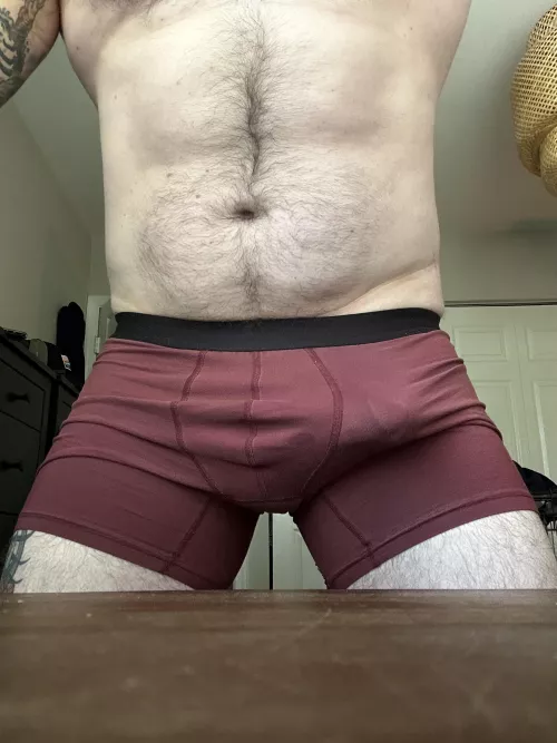 Love the way these briefs show the outline of my tip by Hairy-buffal0