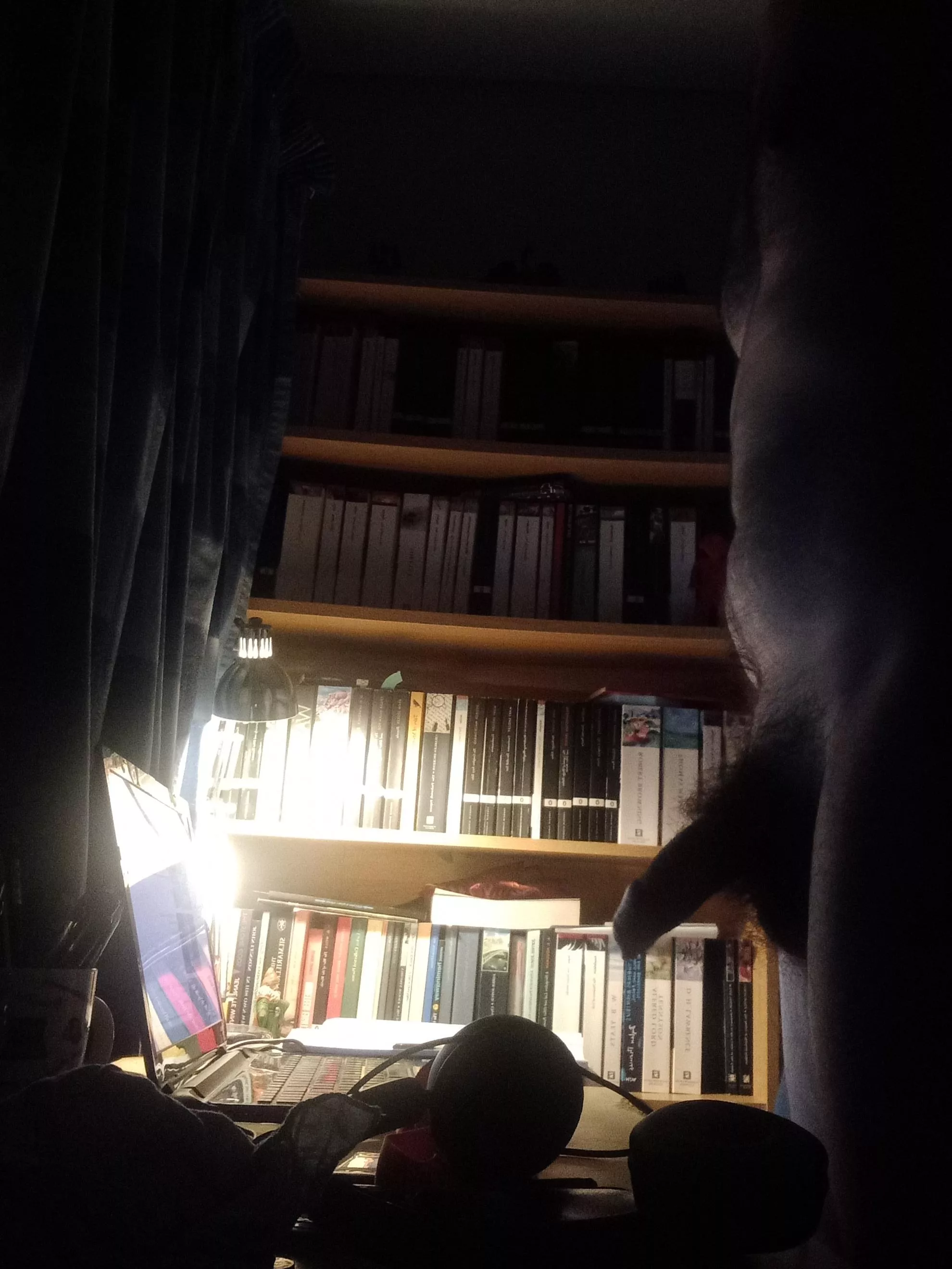 Me and my Bookcase posted by FolkandFlora92