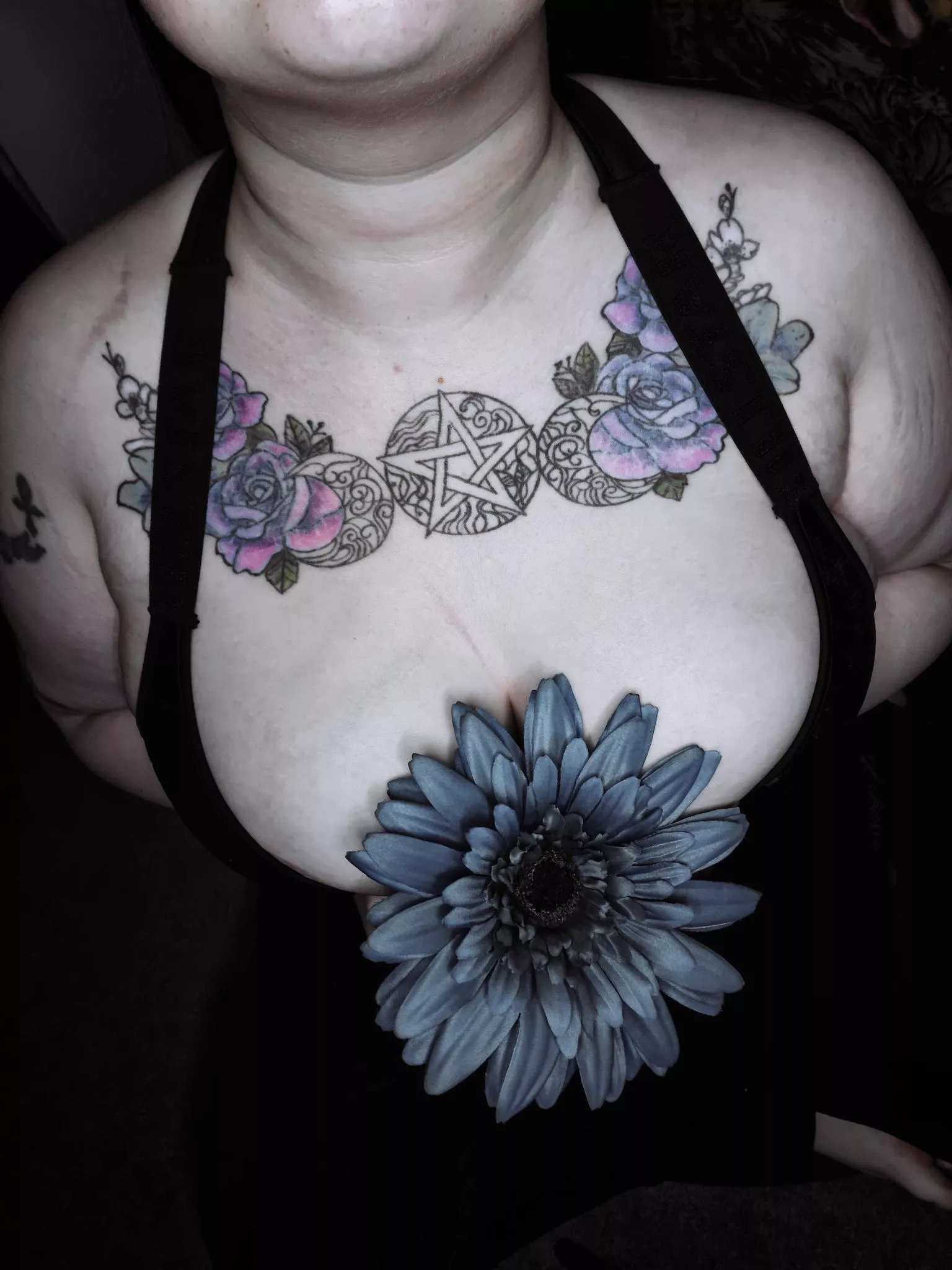 Obsidian Raven Rose (@ObsidianRavenRose) [OnlyFans] posted by ObsidianRavenRose