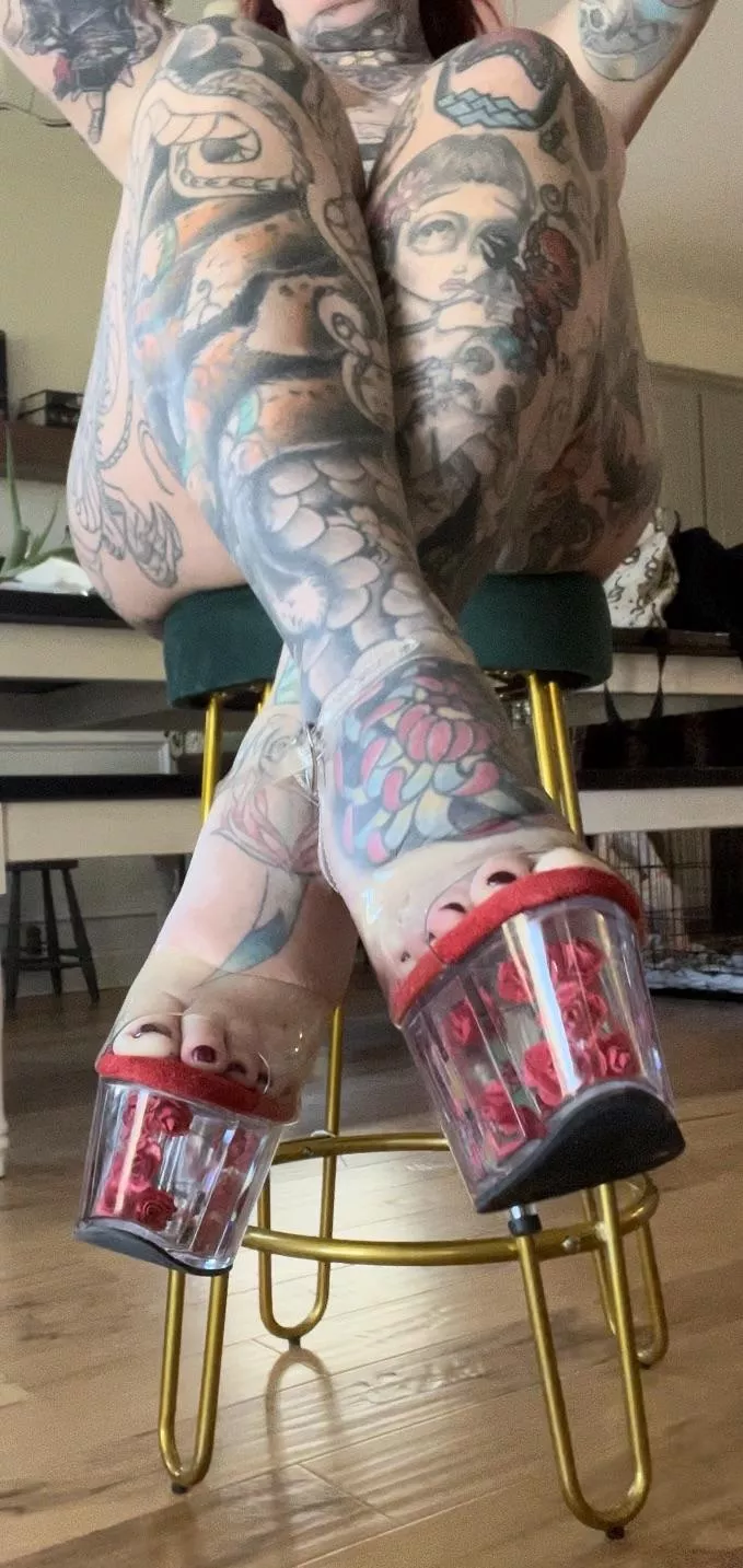 Rose pleasers posted by mallorymayi