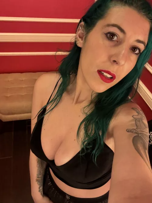 View from above [image] by sirenskiss3