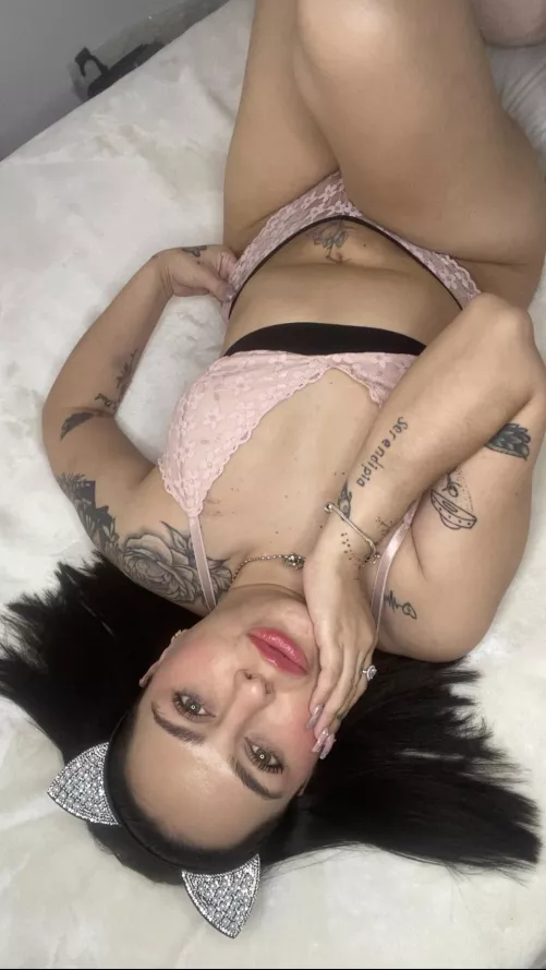 Will you make me purr? by SnivelingToad