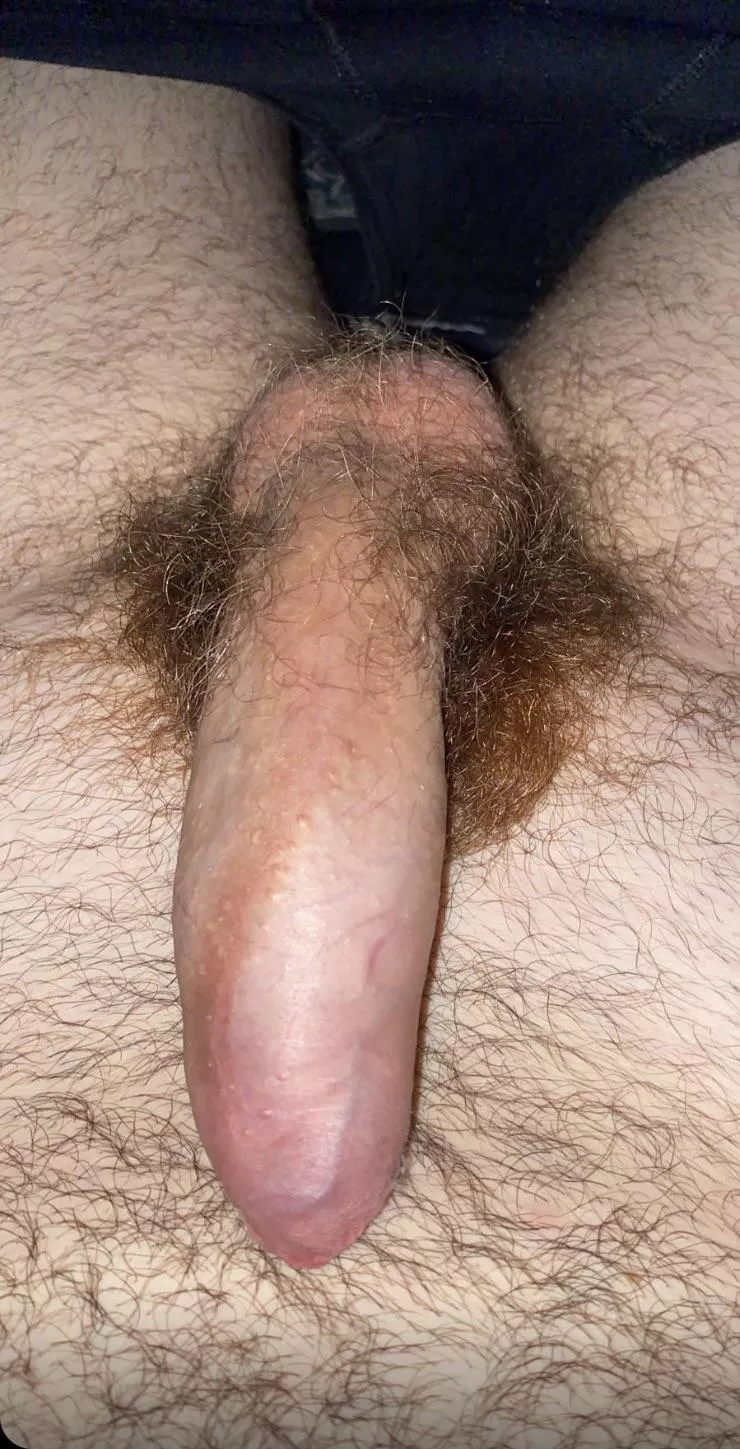 18 hairy looking for long term chats on snap prefer from uk +rjackson078 posted by rpriv42
