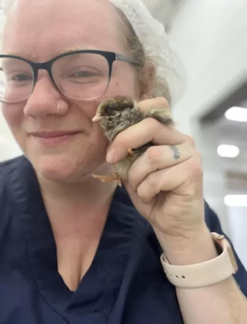 A couple cute chicks 🐥 by Lauraleslie