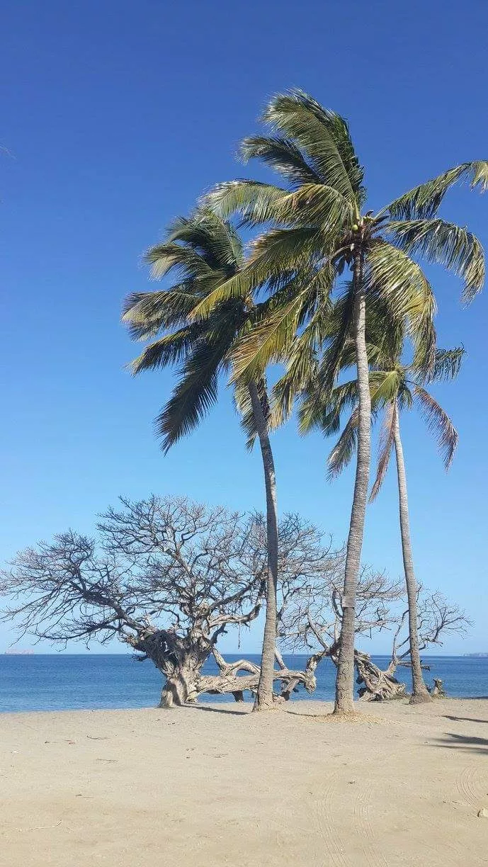 🌊Brasilito, Guanacaste, Costa Rica🌴 posted by ElytheWifey