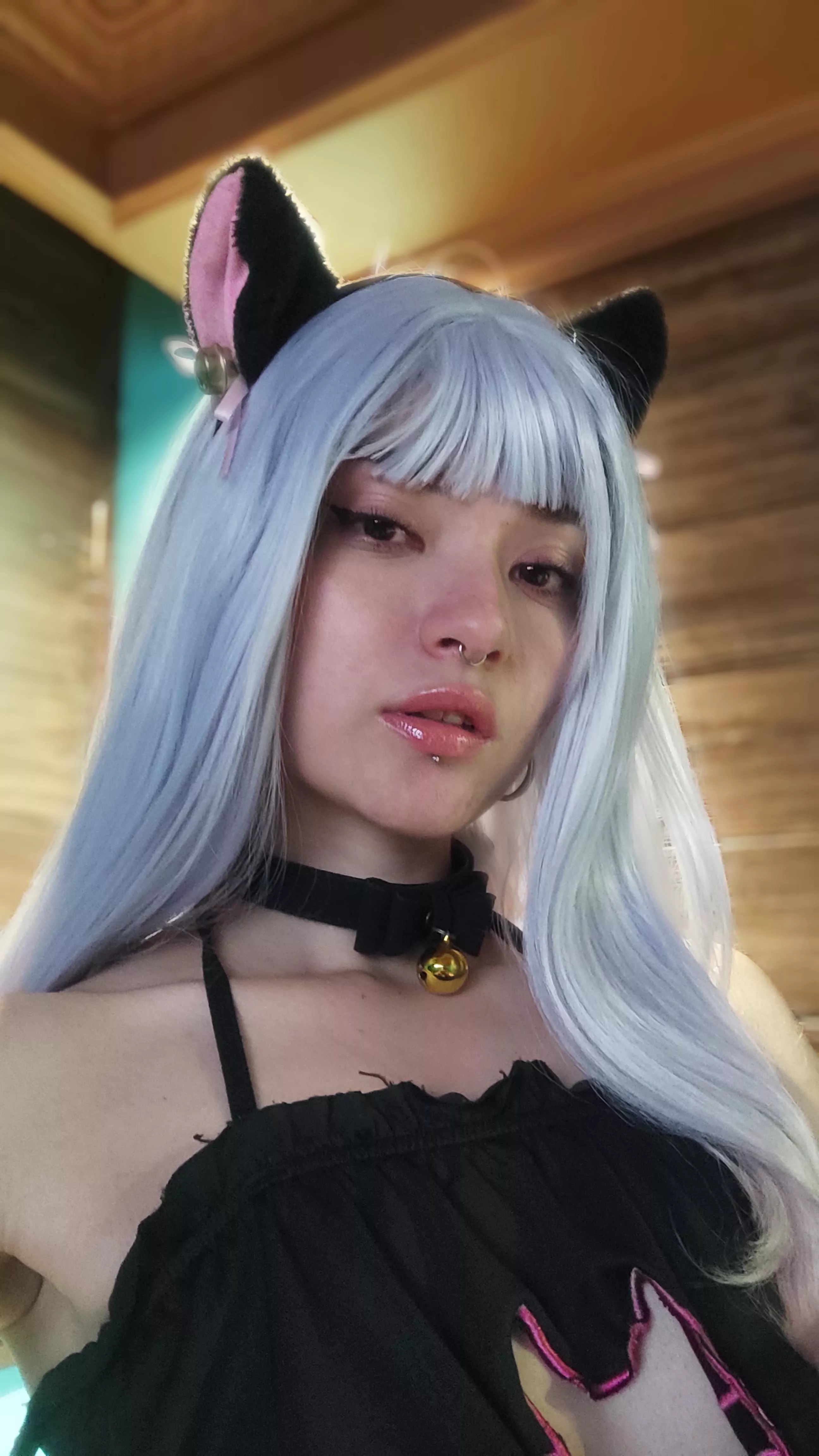 can you adopt this kitty? :3 posted by Darcie_BA