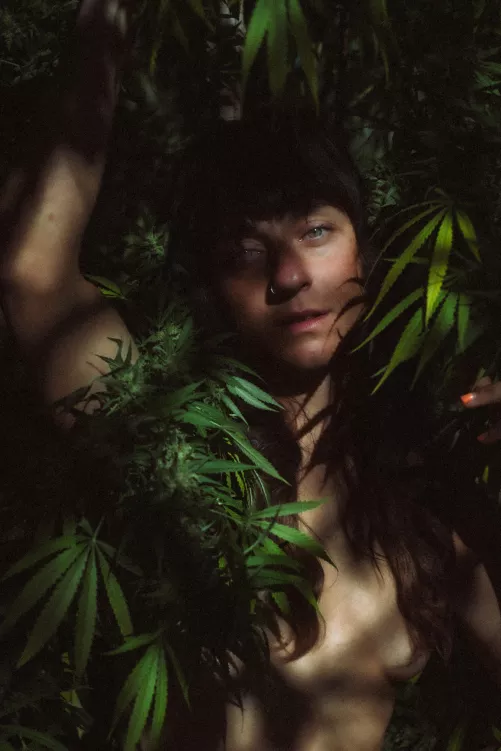 Cannacolored Daydream ✨ by Curiousmusclegirl