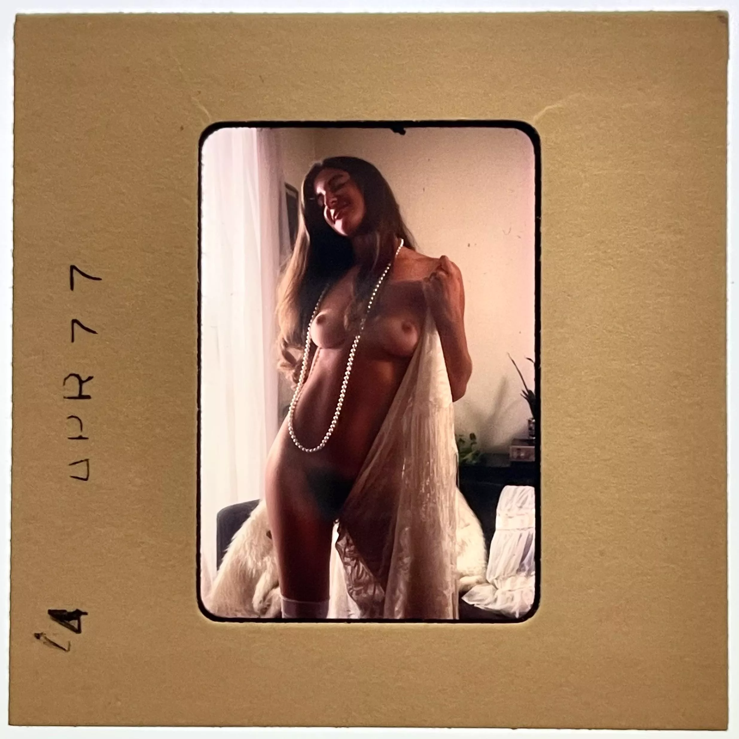 Color Slide April 1977 posted by ahilava