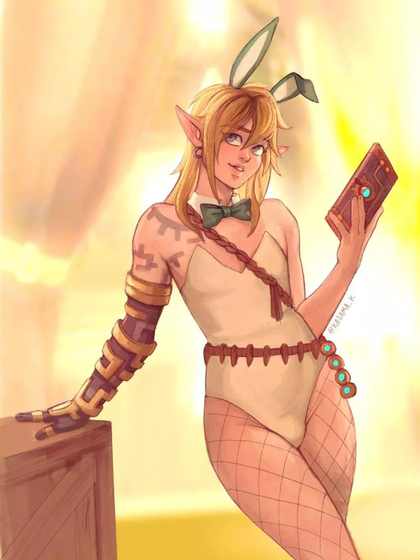 Link looking for a new adventure… (katama_k) posted by stockings-boi