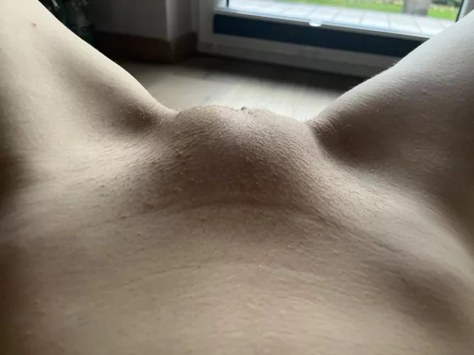 My pussymound if it were dinner would be the most prized in the world 😏 by Chaoticspill32