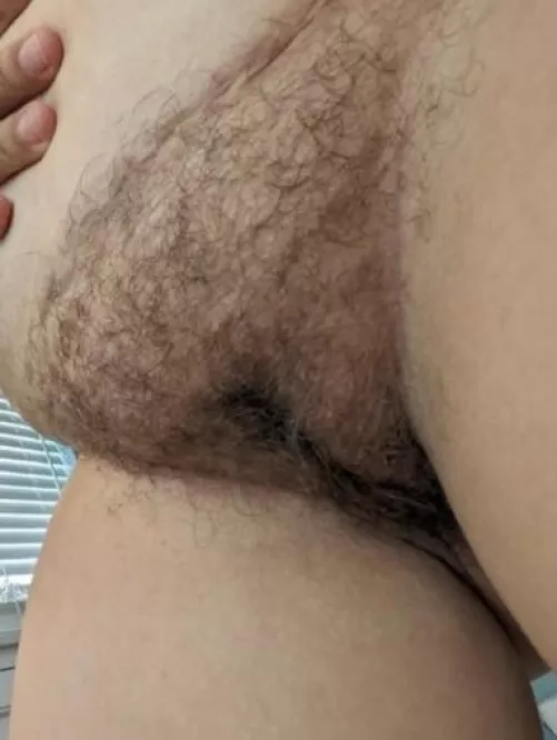 Pretty fuzzy atm by kat-pj