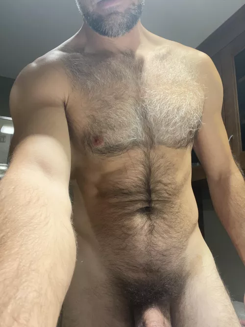 Really bushy and fuzzy these days. Great for cuddling? by Flashy-Usual-7228