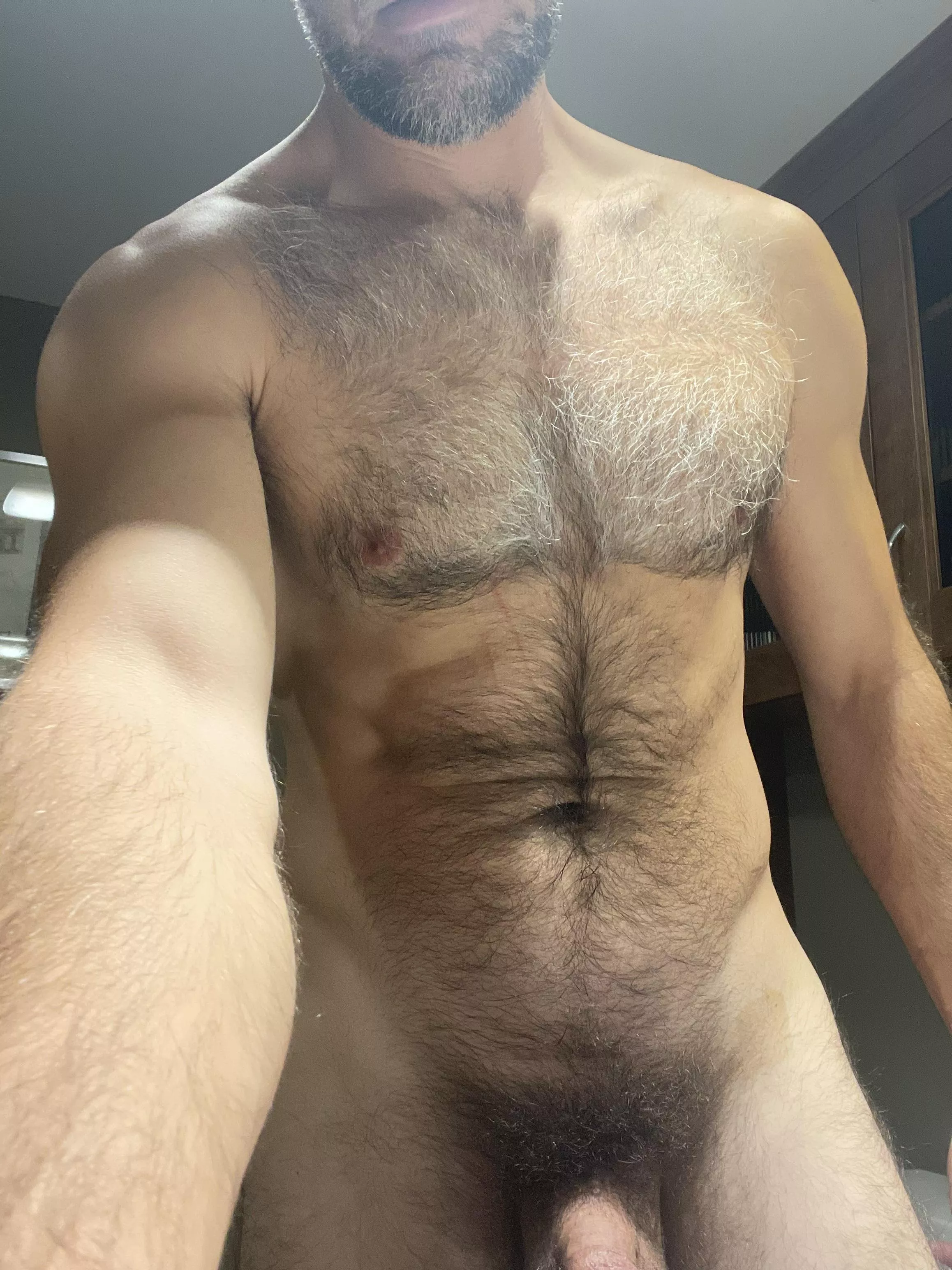 Really bushy and fuzzy these days. Great for cuddling? posted by Flashy-Usual-7228