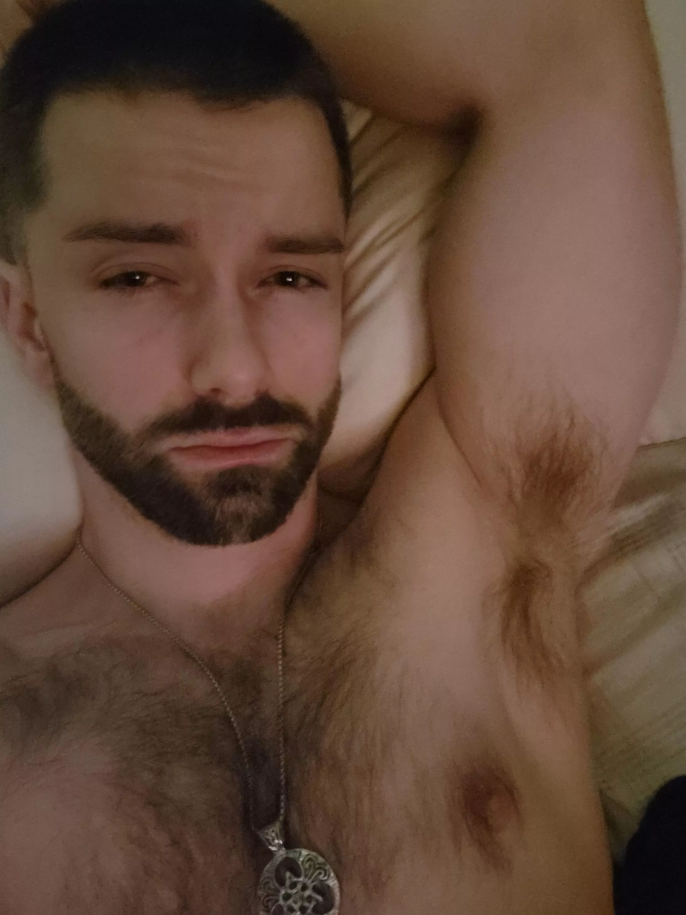 Sleepy picture but never a bad time to share some body hair XD posted by XyonSkye