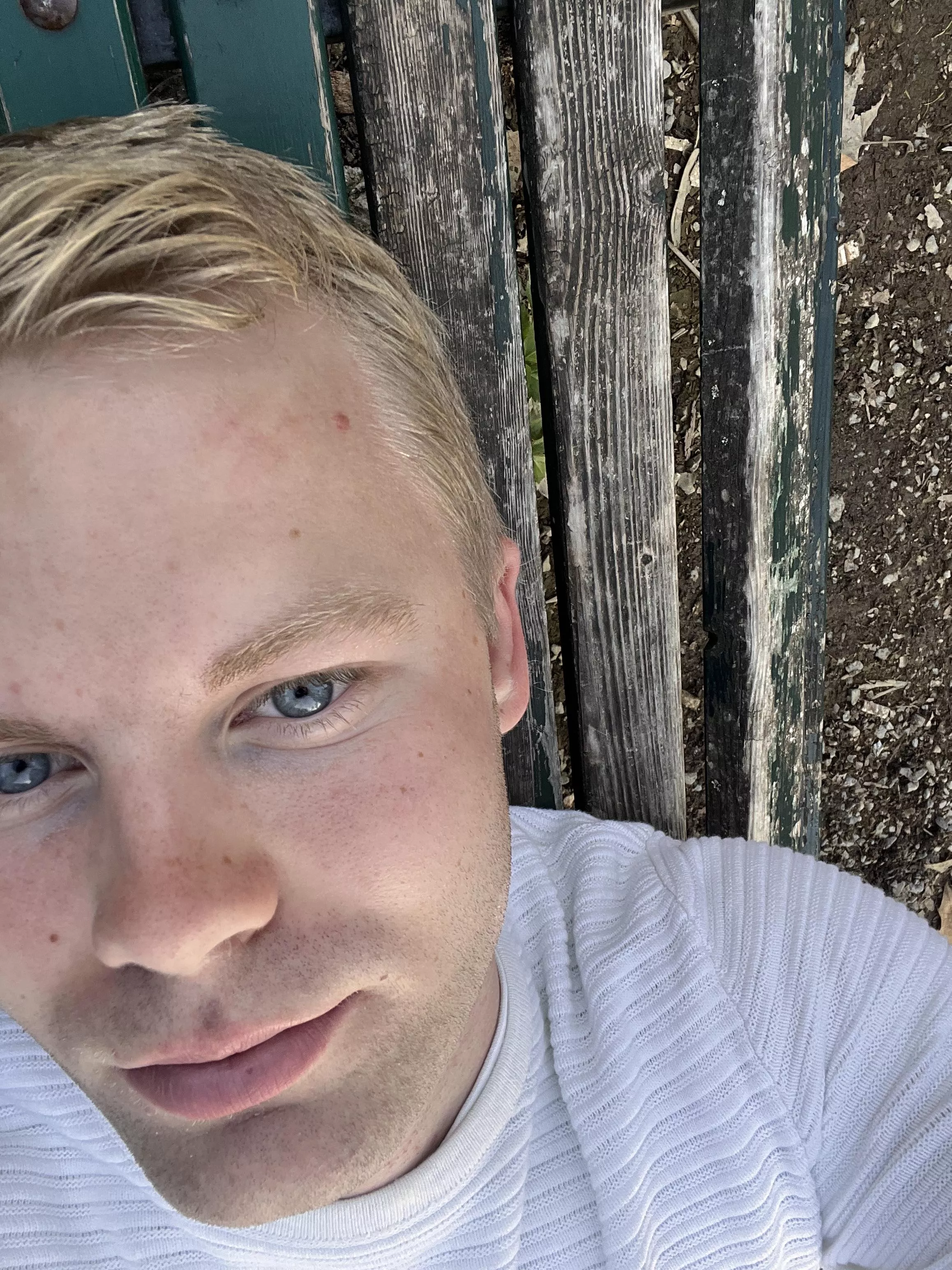 This bench was actually pretty comfy posted by Competitive_Stop4896