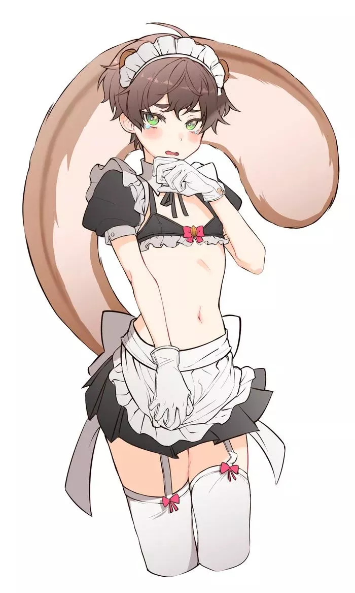 ZAMN posted by TomEstruct