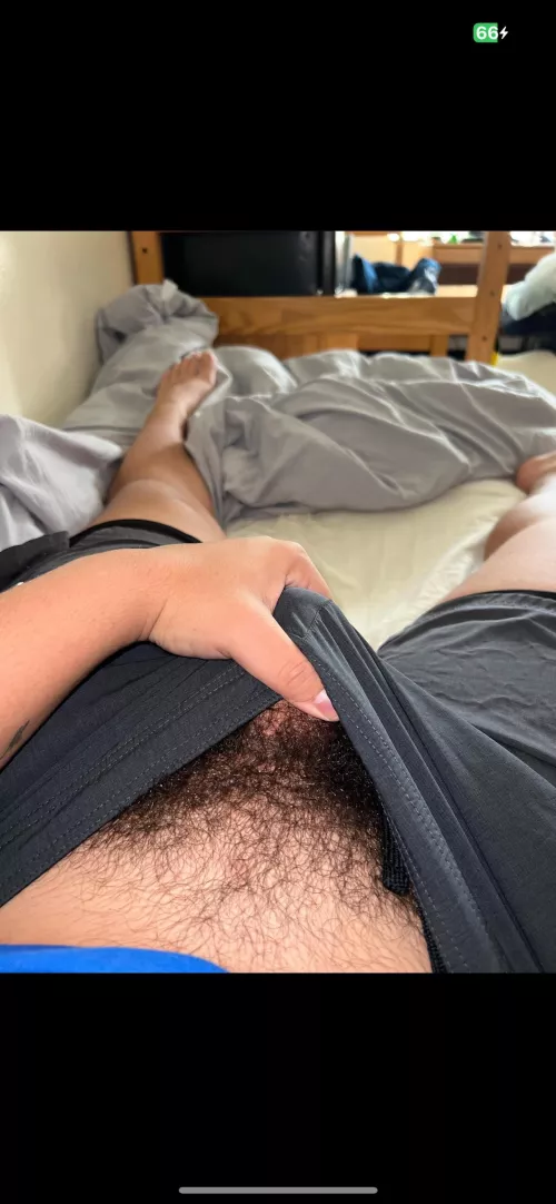 (18) Someone told me to shave it should I listen?? by South-Battle-7561