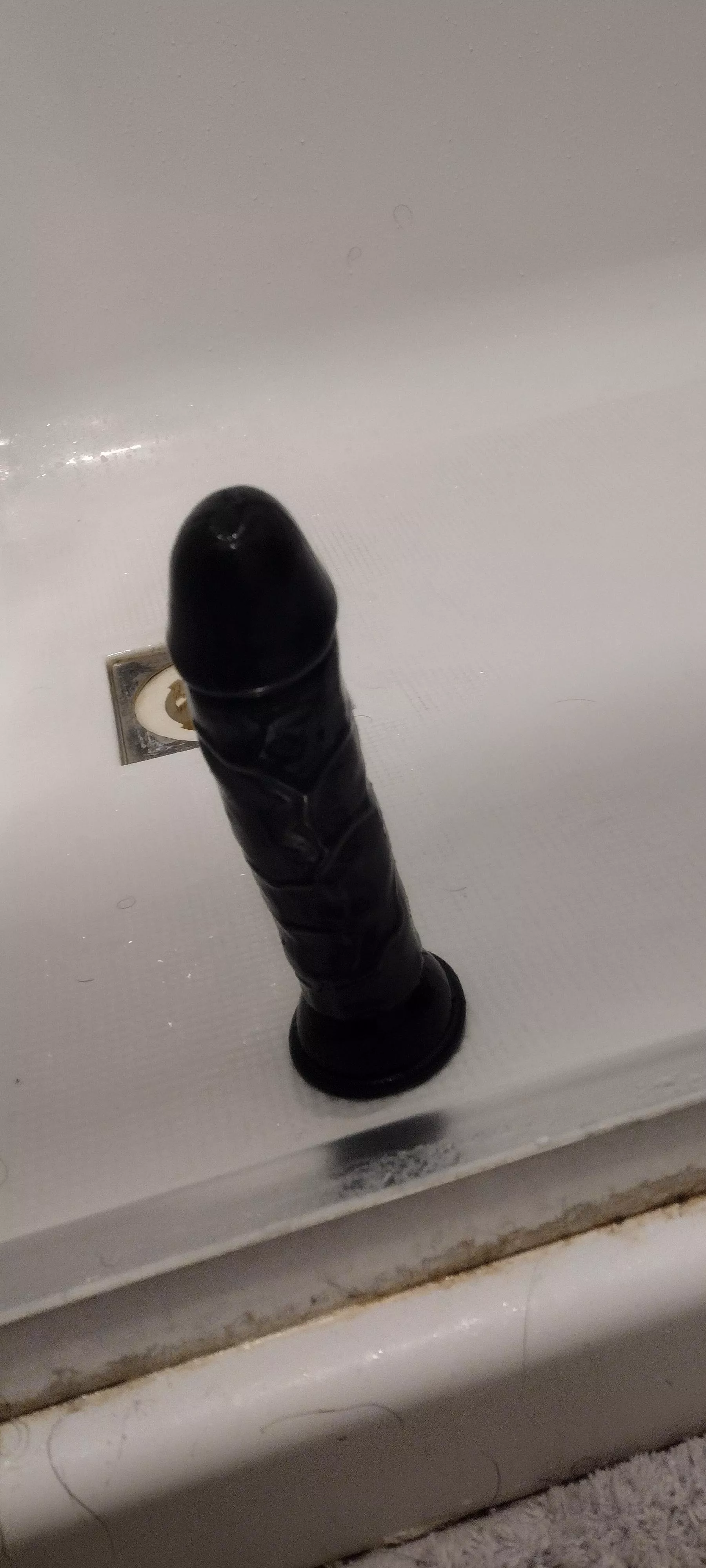 Afternoon shower sessions with this fella posted by jbird890