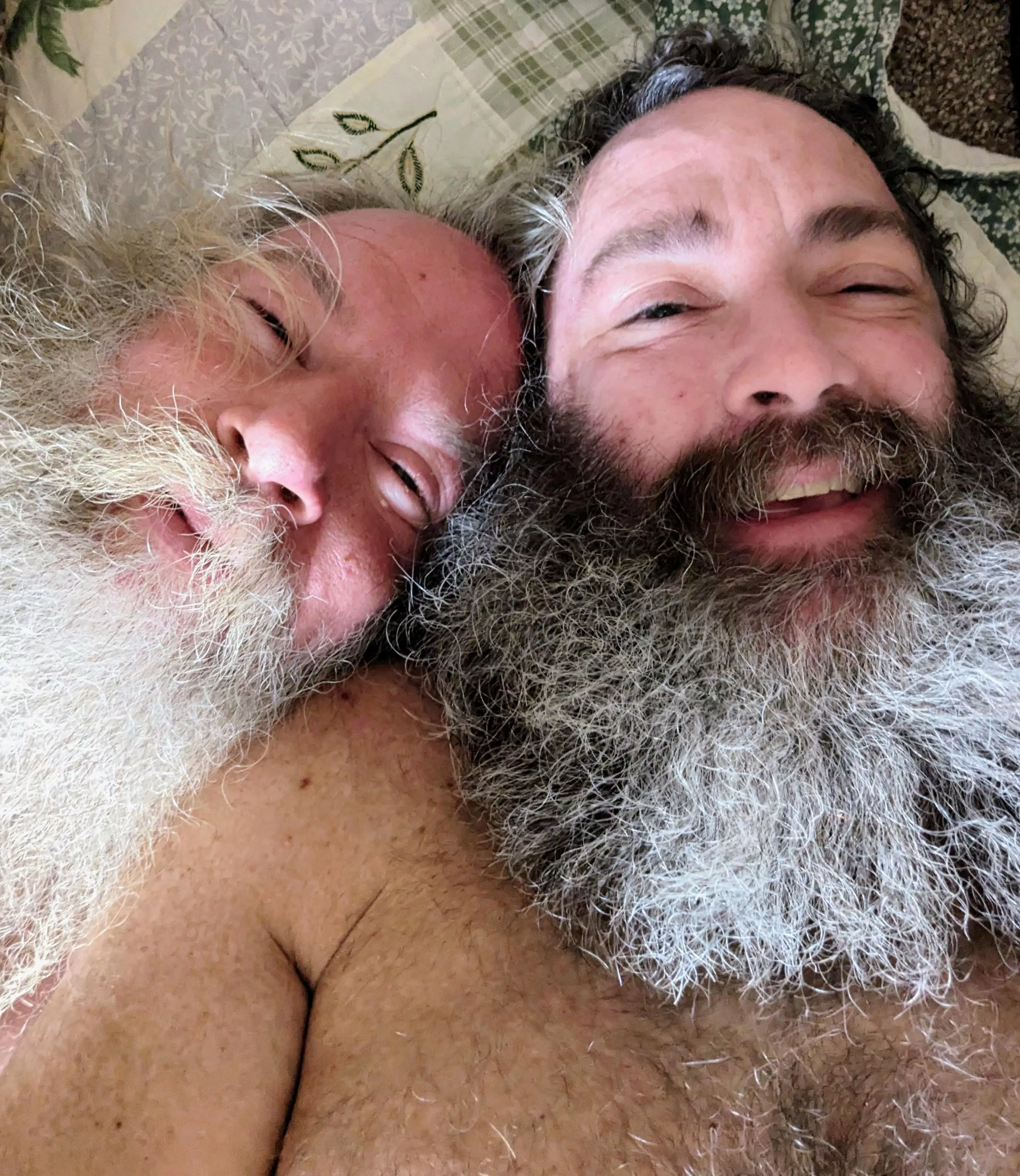 Bear Pair posted by multi_hyperion