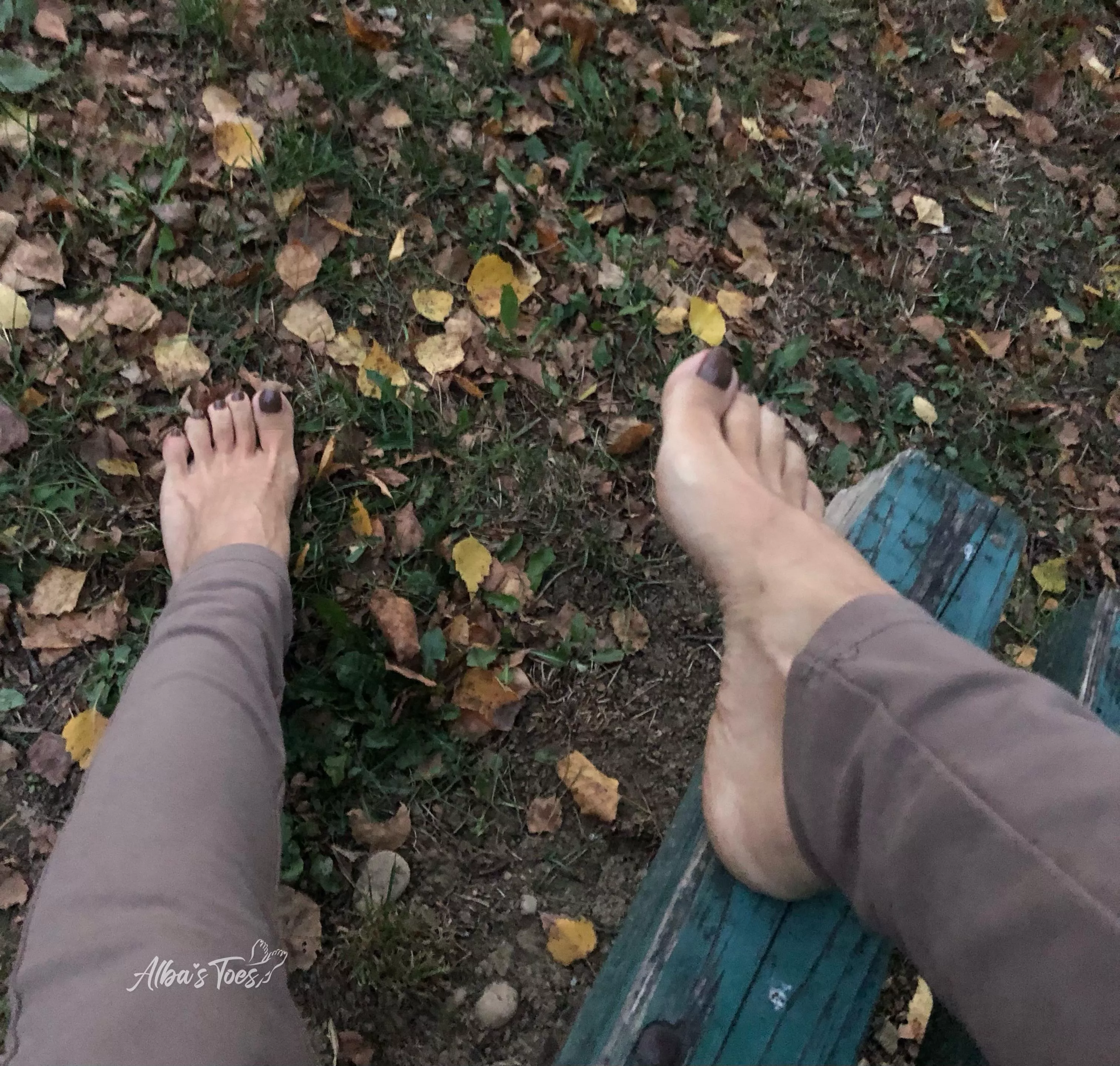 Brown nail polish..do you like it? posted by albastoes