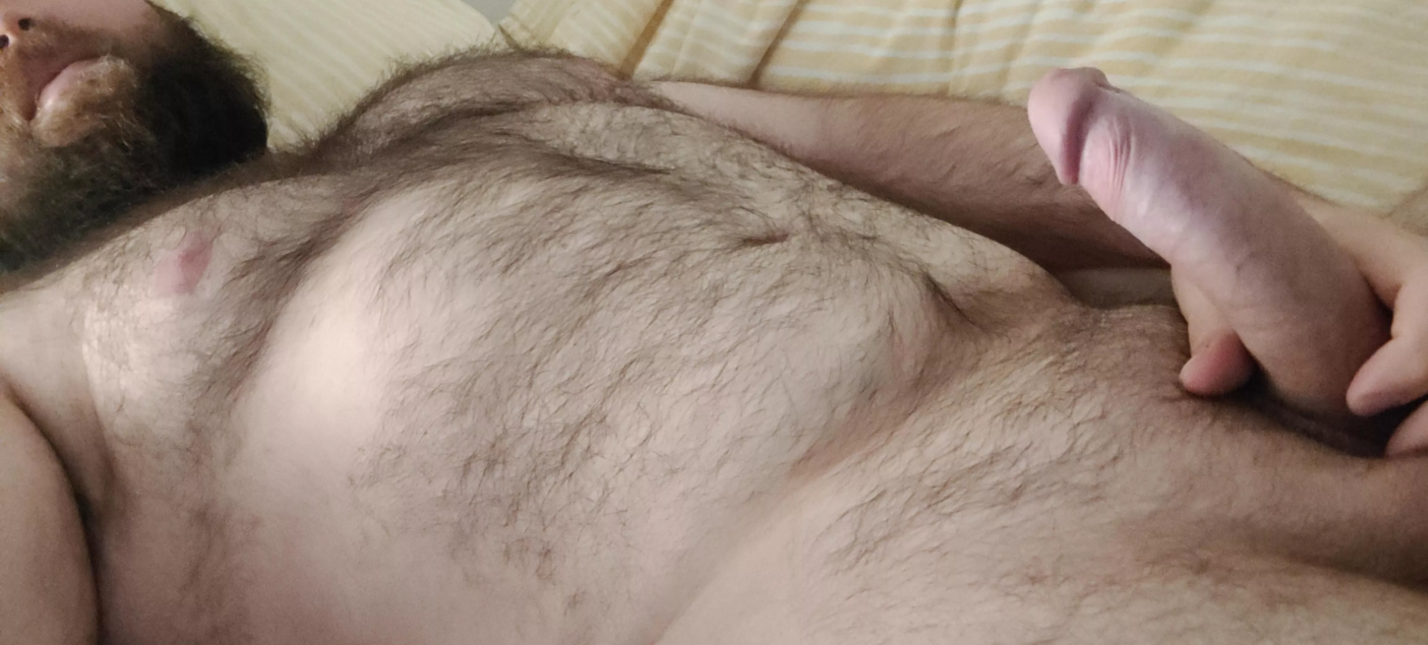 Do I really have to get up and go to work? posted by Playful_Bear