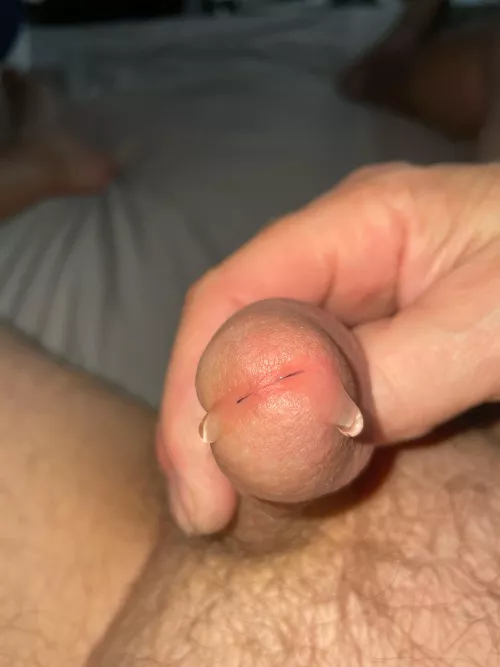 Double sided dragon! by shrews26