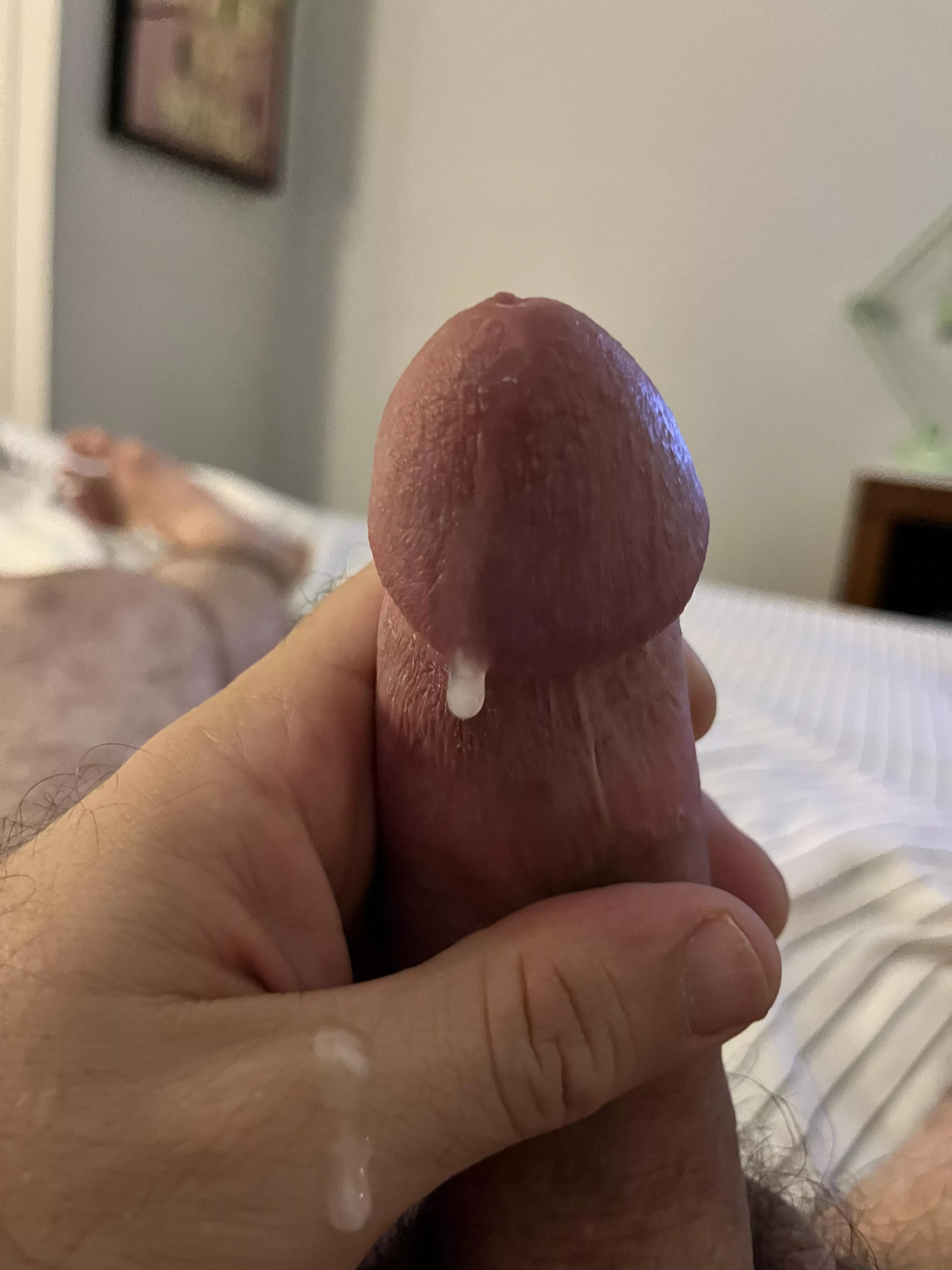 Dripping down posted by MrCuddlefish
