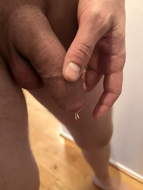 Dripping wet! by Regular-Eggplanty