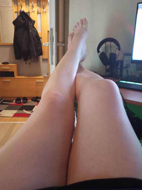 First time posting please be nice :3 by somefemboyalt