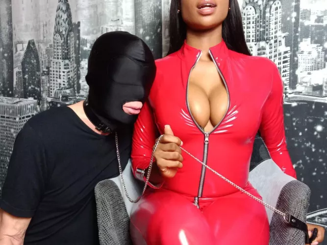 Getting ready for a walk by chocolateboxcrasher