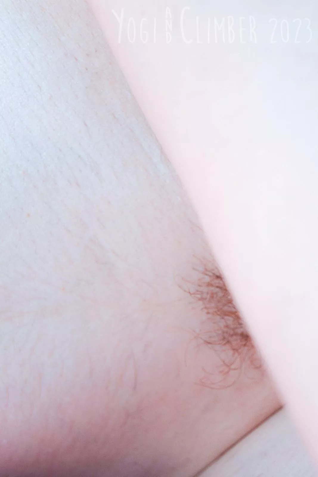 Ginger intersection posted by YogiandClimber